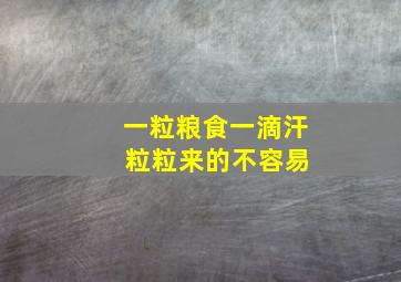 一粒粮食一滴汗 粒粒来的不容易